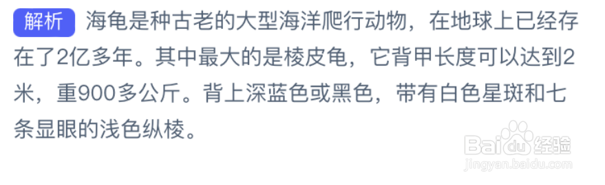 神奇海洋：考考你世界上最大的海龟是