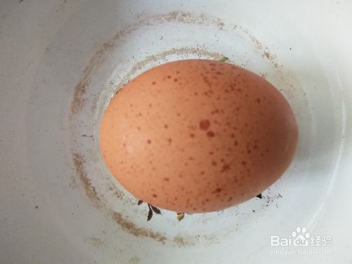 怎么做粉条茄子 鸡蛋馅的包子？