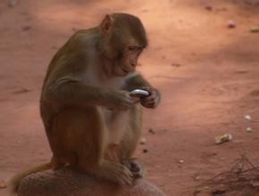 如何减少晚上熬夜的次数