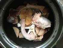 酸香麻辣东安鸡的做法