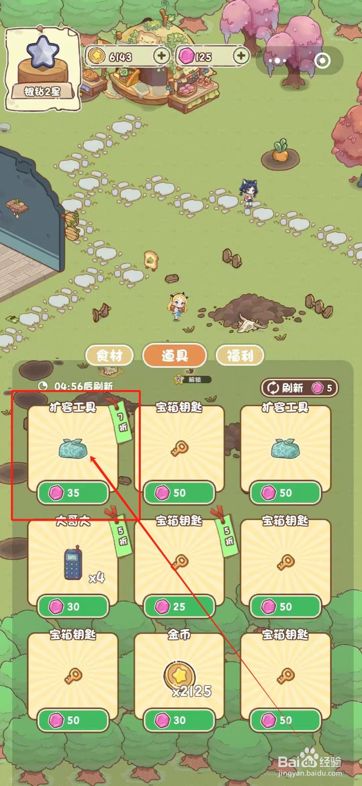 我家后院有座岛怎么怎么购买扩容工具