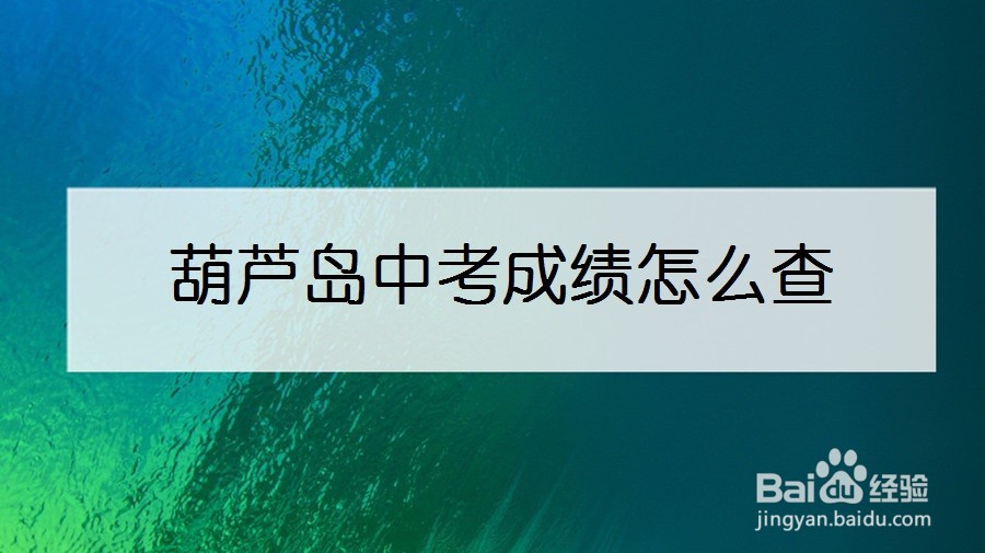 葫芦岛中考成绩怎么查