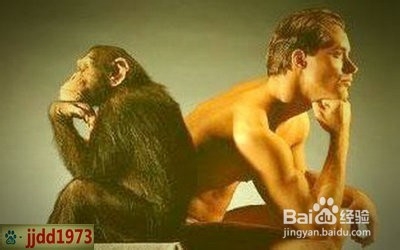 为什么美满的婚姻最后总是以失败告终