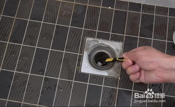 你可知道卫生间有小飞虫怎么根除吗？