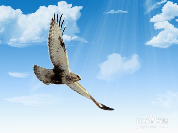 父母如何处理与青春期叛逆孩子之间的关系呢?