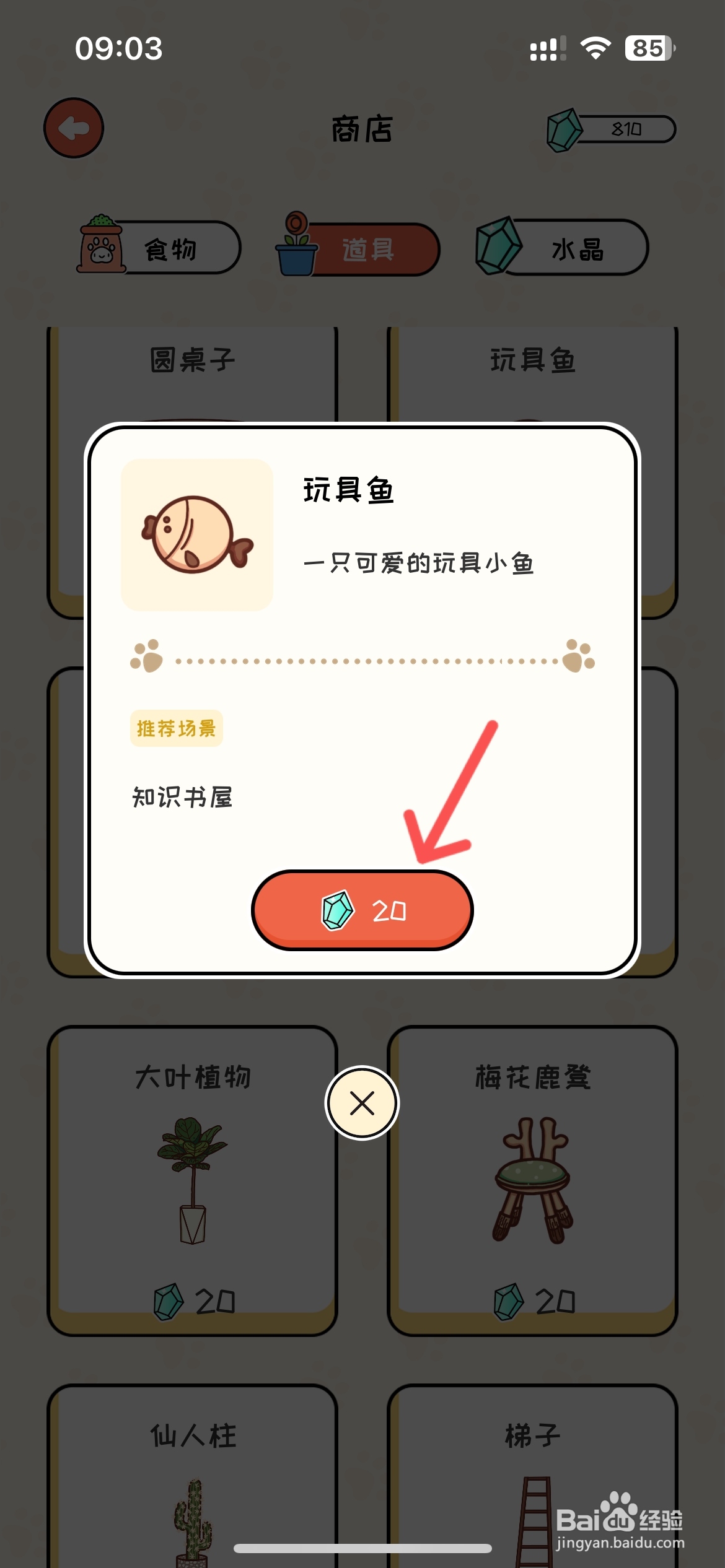 萌小喵日记怎么给知识书屋购买玩具鱼