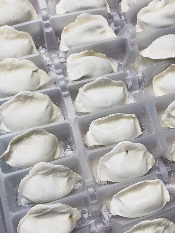 生煎or锅贴饺子