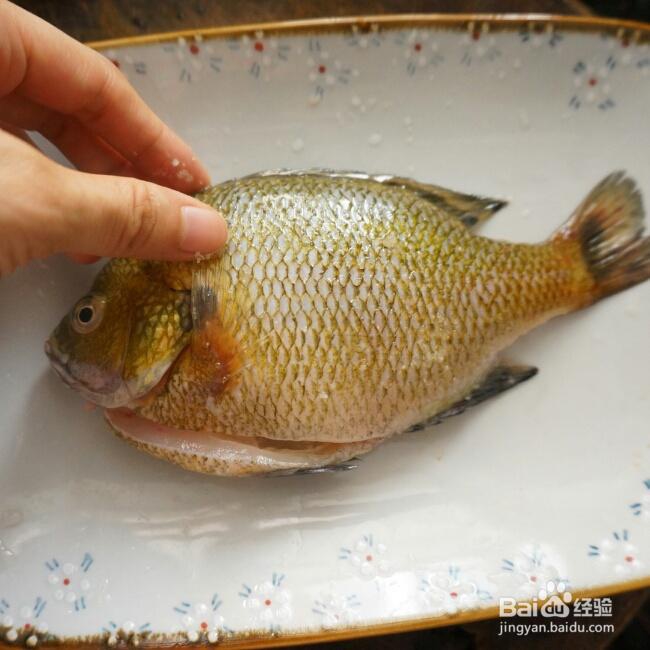怎么做清蒸太阳鱼
