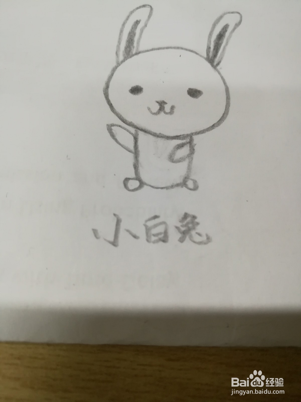 如何画一只小白兔