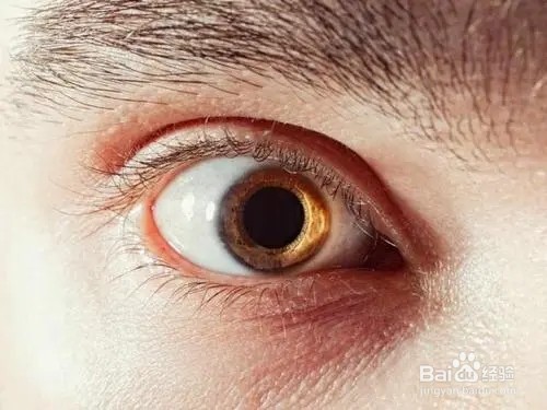 蚂蚁庄园我们看到喜欢的人时瞳孔通常会如何