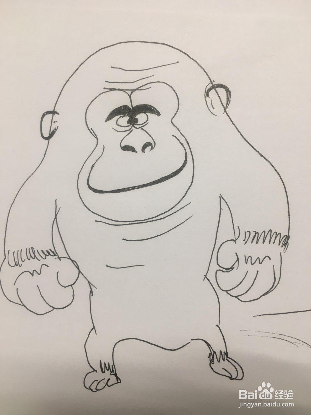 简笔画：手绘一只猩猩 儿童美术 幼儿绘画