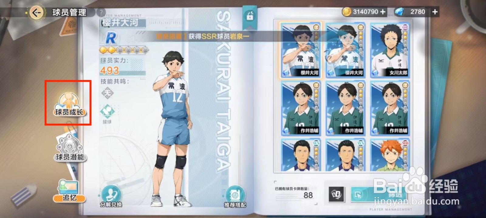 排球少年新的征程如何提升樱井大河等级？