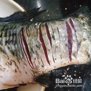 家常菜红烧鲫鱼