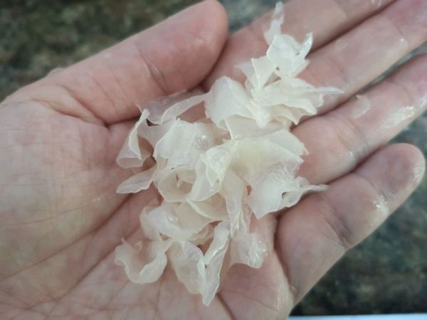 黄桃蔓越莓鲜银耳羹