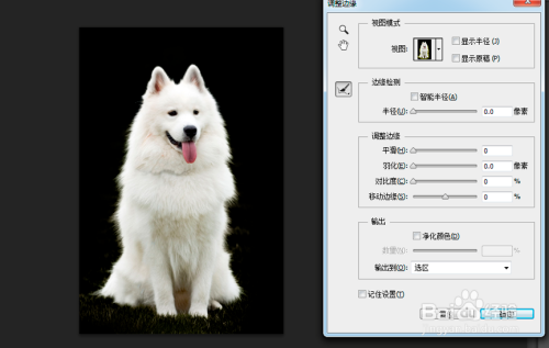 ps实用小技巧：抠出毛发