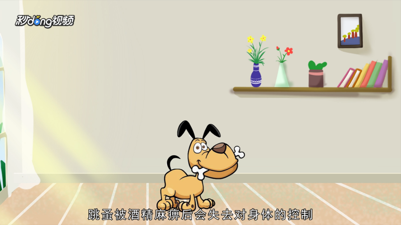 狗狗身上有跳蚤怎么办