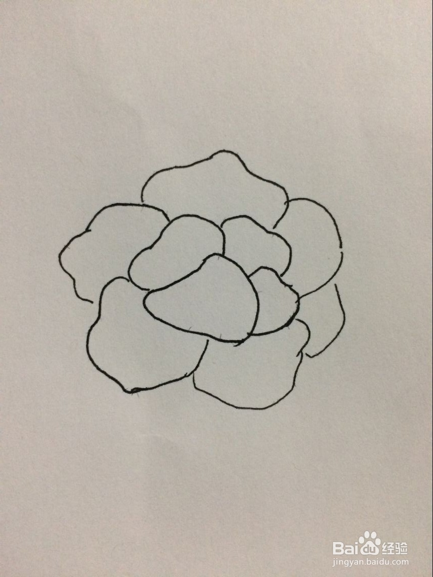 怎样手工画牡丹
