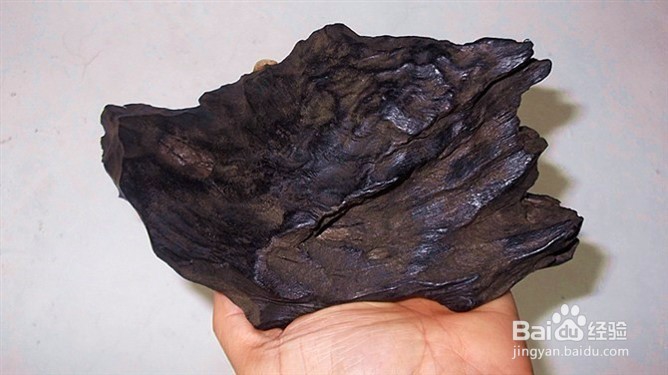 你真的懂得养生之道吗