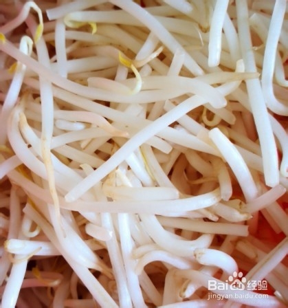 黑白分明的豆芽炒木耳