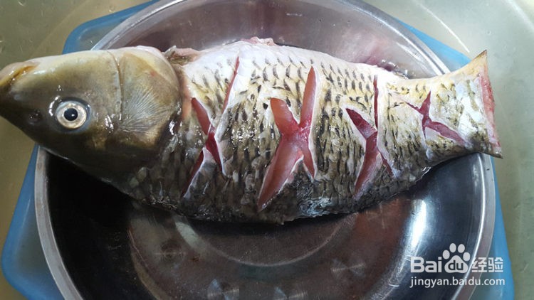 #初冬怎么吃#鲤鱼汤