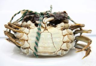 吃螃蟹需要知道的那些事