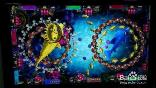 网络街机捕鱼游戏技巧