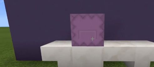 我的世界木鱼标本