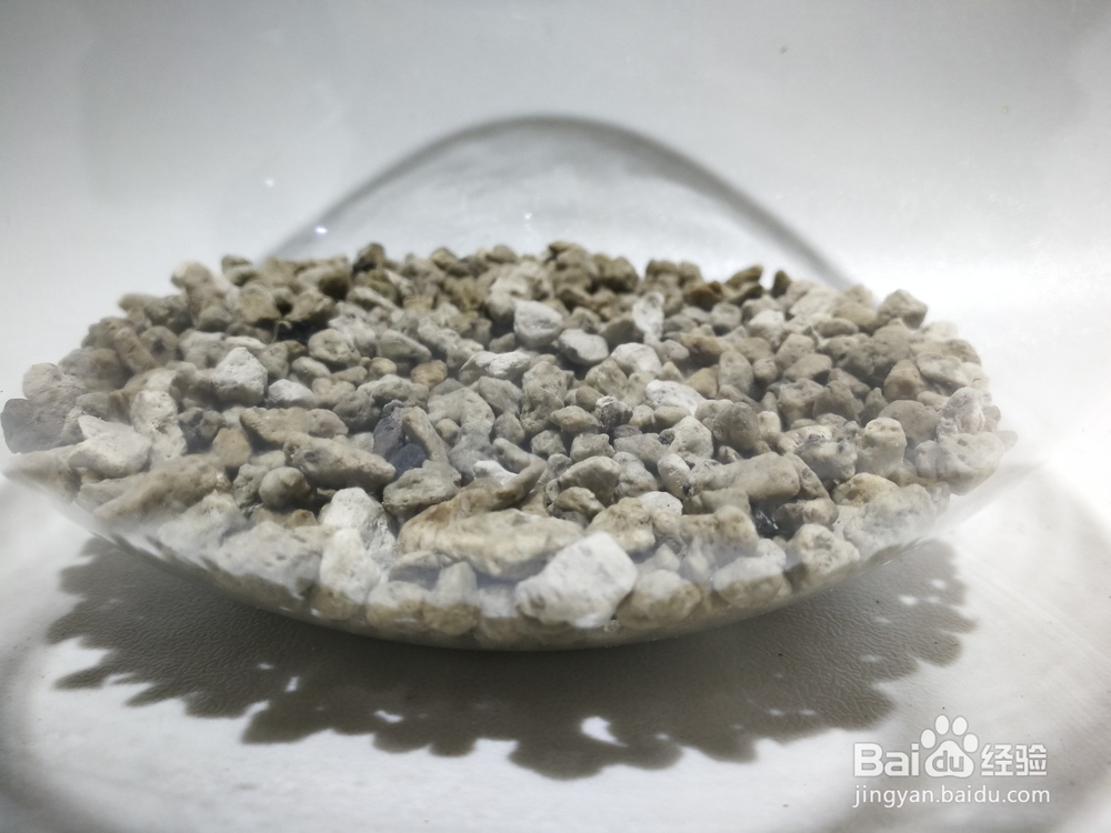 手把手教您制作苔藓微景观