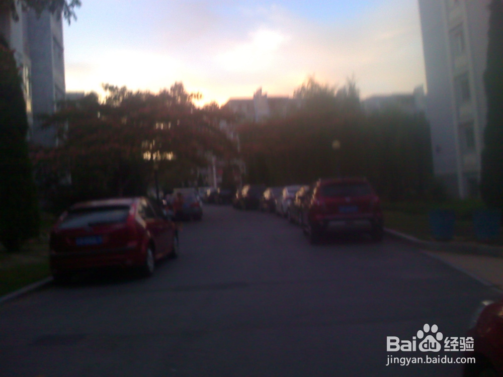 怎样告诉孩子安全过马路--12