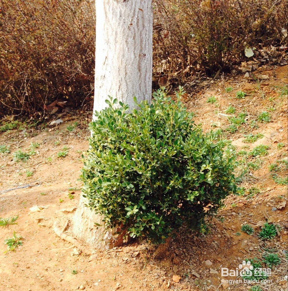 怎样给外面的流浪猫喂食?