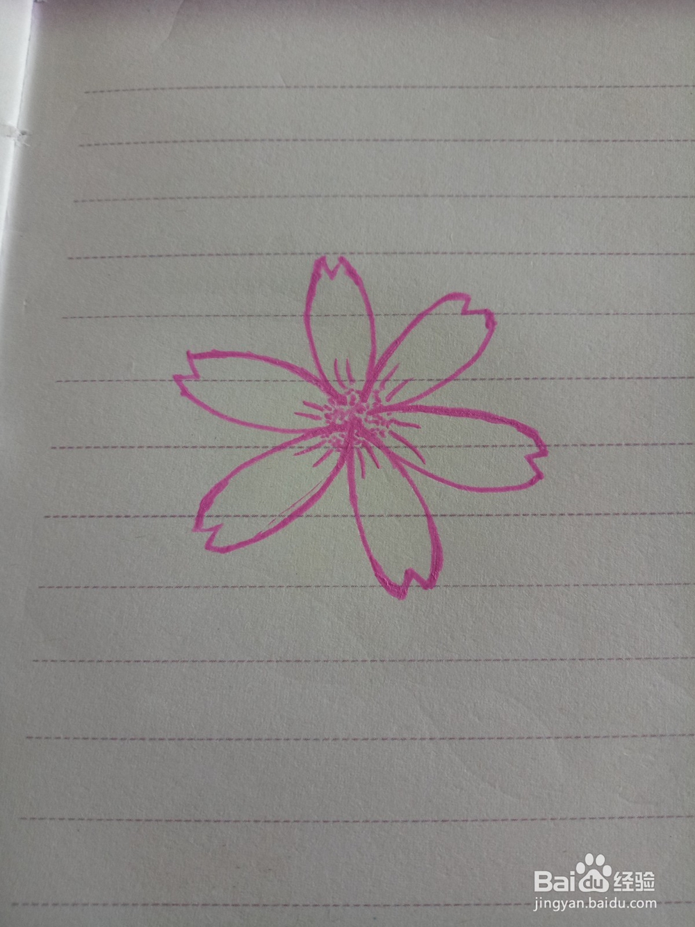 用彩色荧光笔画樱花