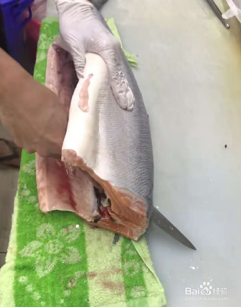 三文鱼各部位切片图解