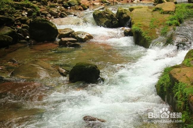 张家界景区住宿