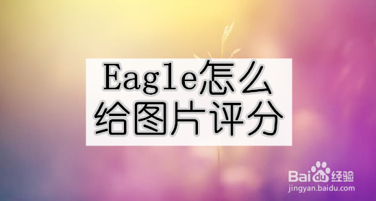 <b>Eagle怎么给图片评分</b>