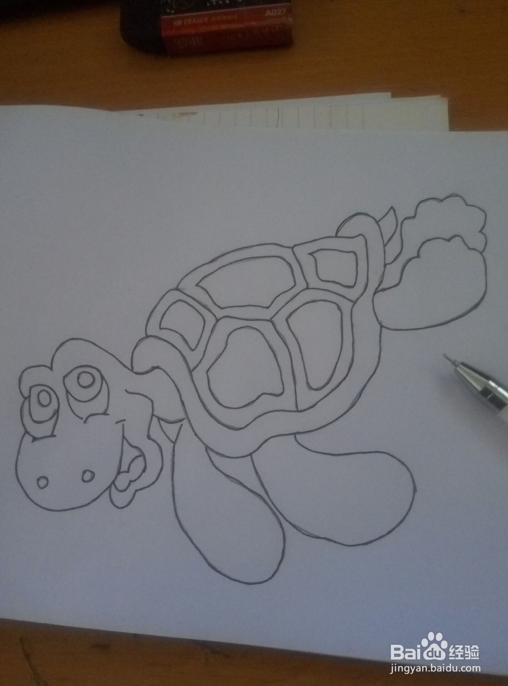 简笔画------海龟（小乌龟）