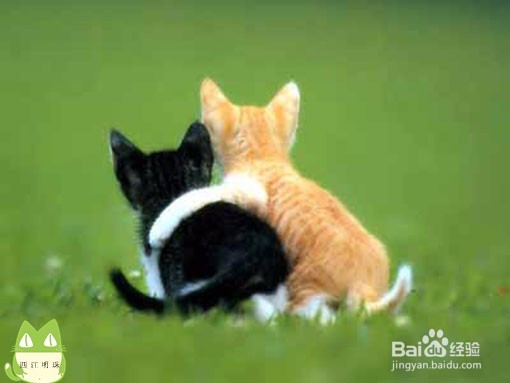 如何能把控友情和爱情的分界线?