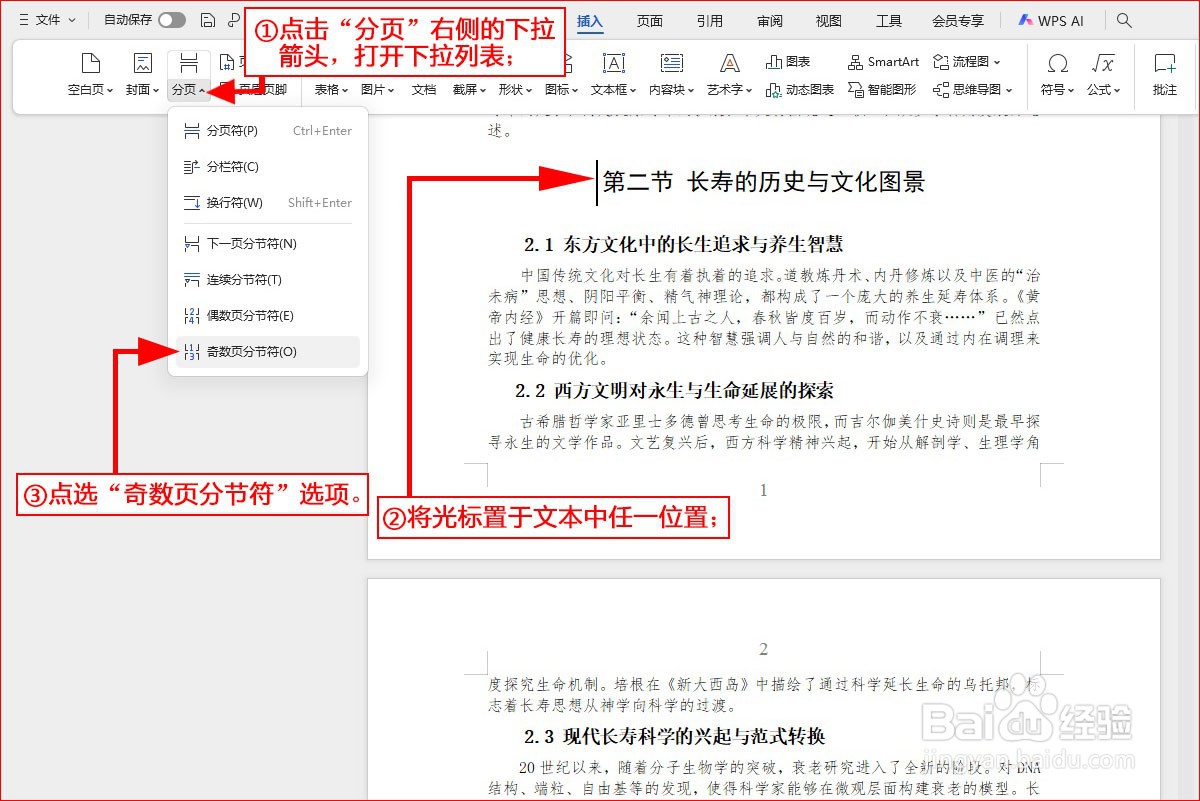 WPS文字如何插入奇数页分节符