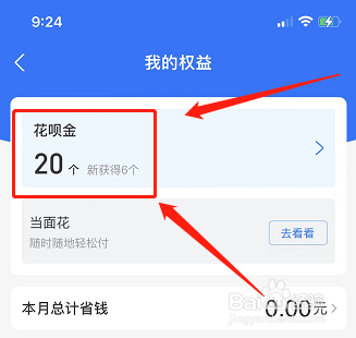支付宝如何查看花呗金详情