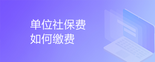 单位如何缴纳社保费