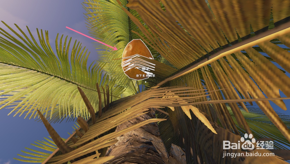 深海搁浅里的椰子有什么吃法？