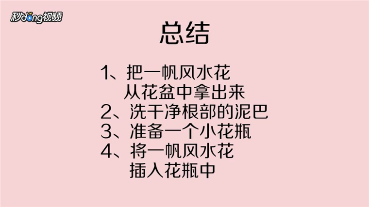 一帆风顺花怎么养