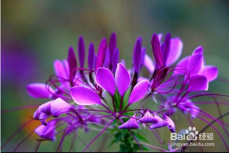 心情低落的时候怎么办?