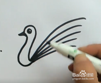 怎样简笔画孔雀