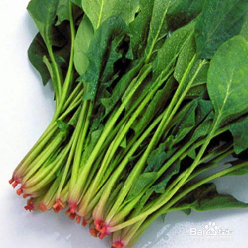 种菠菜的时间和方法