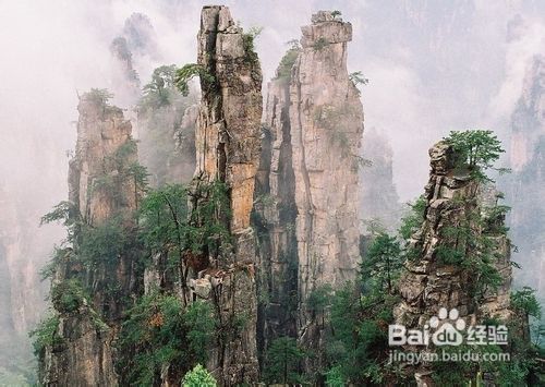 凤凰古城、张家界双卧六日游