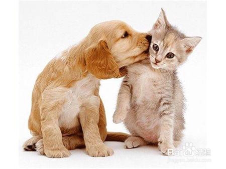 丘疹状荨麻疹怎么治疗