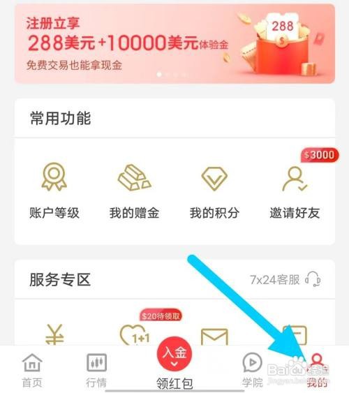 智富投资软件如何查询入金明细