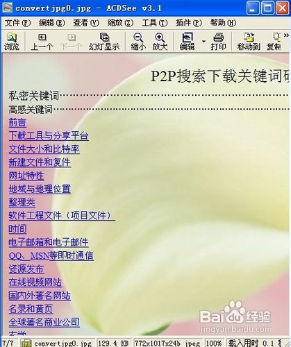 如何将word转换成图片