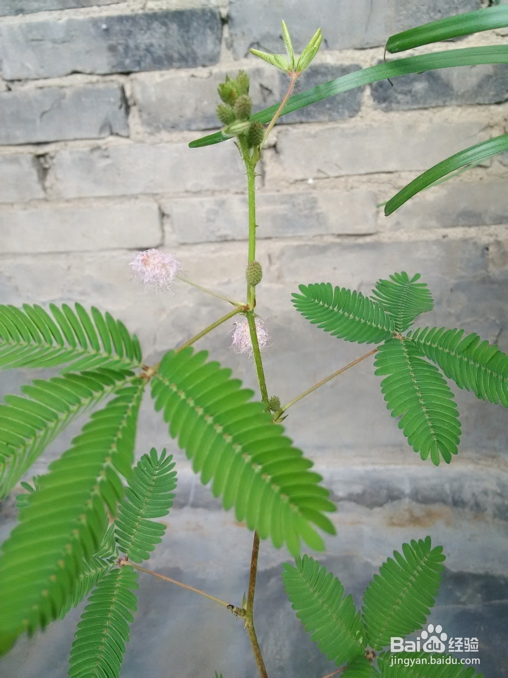 如何定格生活中的小元素?