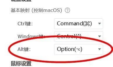 ToDesk如何配置Alt键